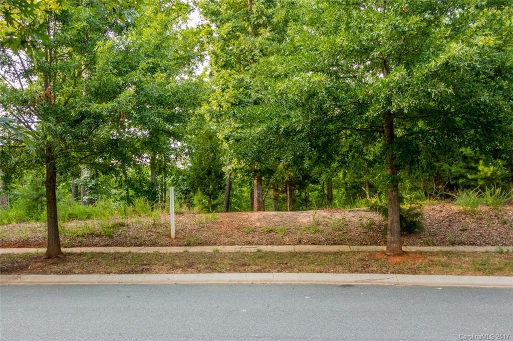 321 Golfview Crest Tega Cay, SC 29708 - Photo 5 of 8