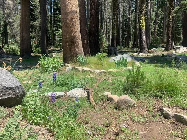 21164 Donner Pass Road Soda Springs, CA 95728 - Photo 7 of 19 Gallery Image 7