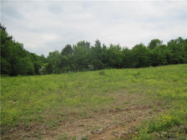 8626 Webb Road Eagleville, TN 37060 - Photo 3 of 6 Gallery Image 3
