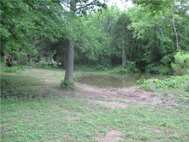 8626 Webb Road Eagleville, TN 37060 - Photo 6 of 6 Gallery Image 6