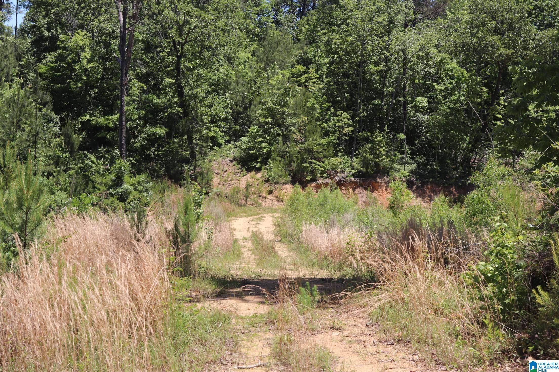 2930 Shocco Springs Road Talladega, AL 35160 - Photo 38 of 93