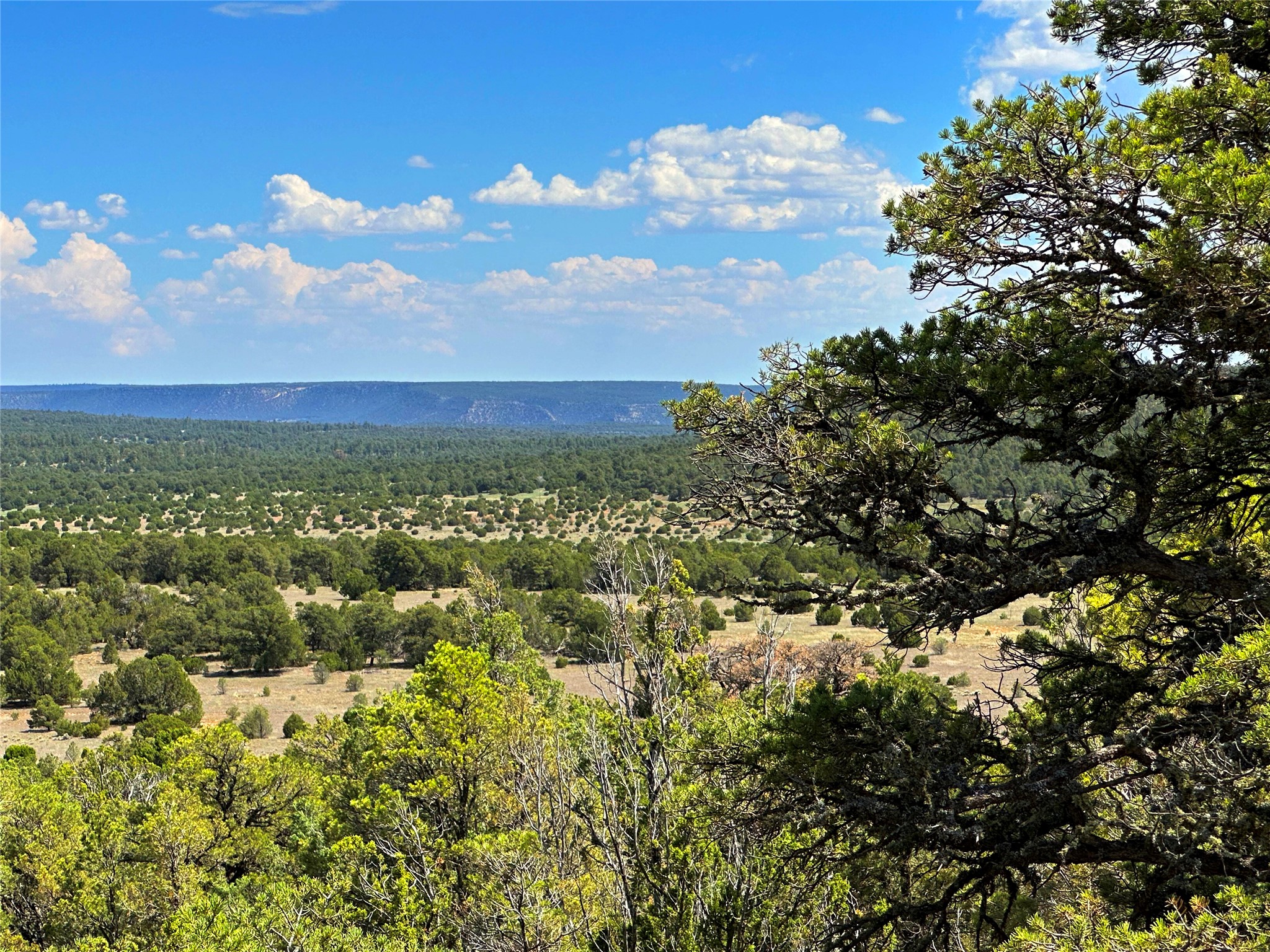 Lot 7 Tierra De Dios Ribera, NM 87560 - Photo 9 of 10