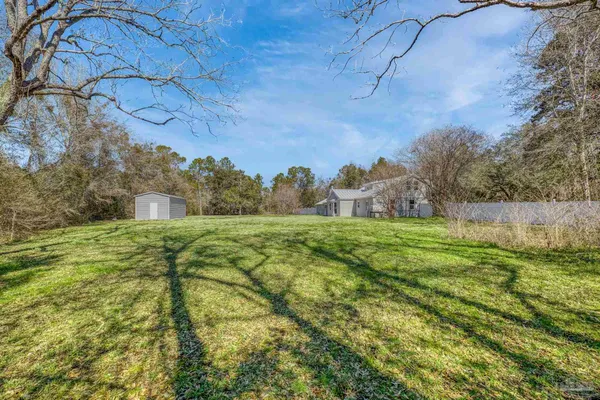a view of a yard with an tree