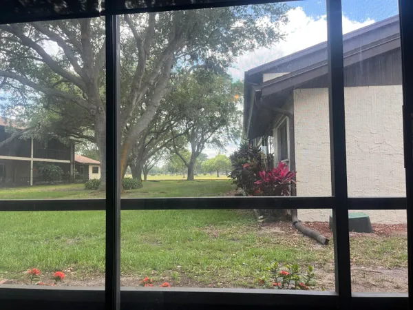 a view of backyard from window