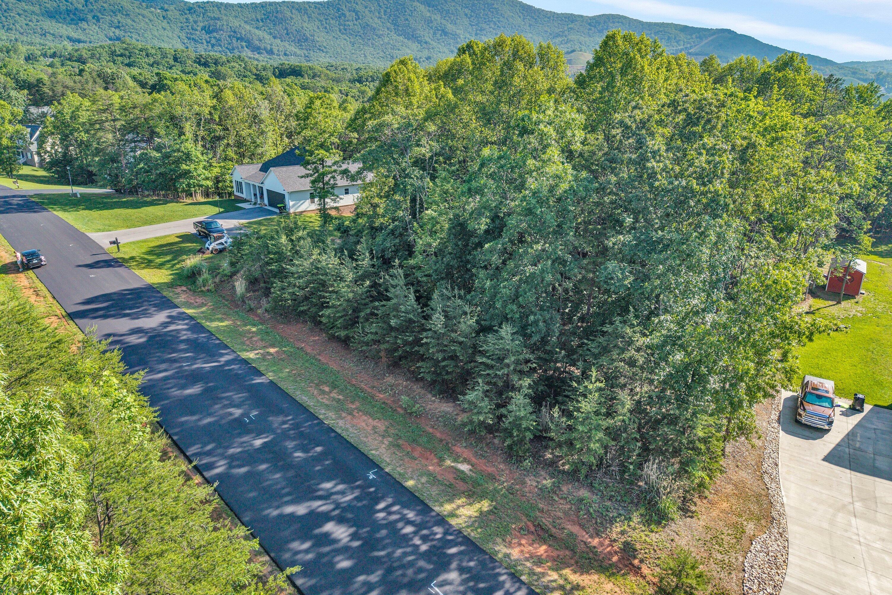 43 Thornblade Way Blue Ridge, VA 24064 - Photo 1 of 11 SGP-0007