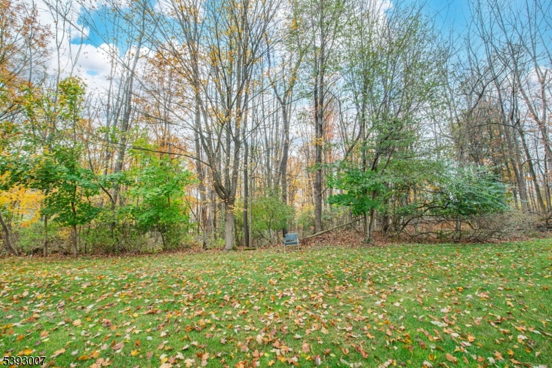 76 Constitution Way, Unit 76 Franklin, NJ 07416 - Photo 20 of 22 a backyard of a house with lots of green space