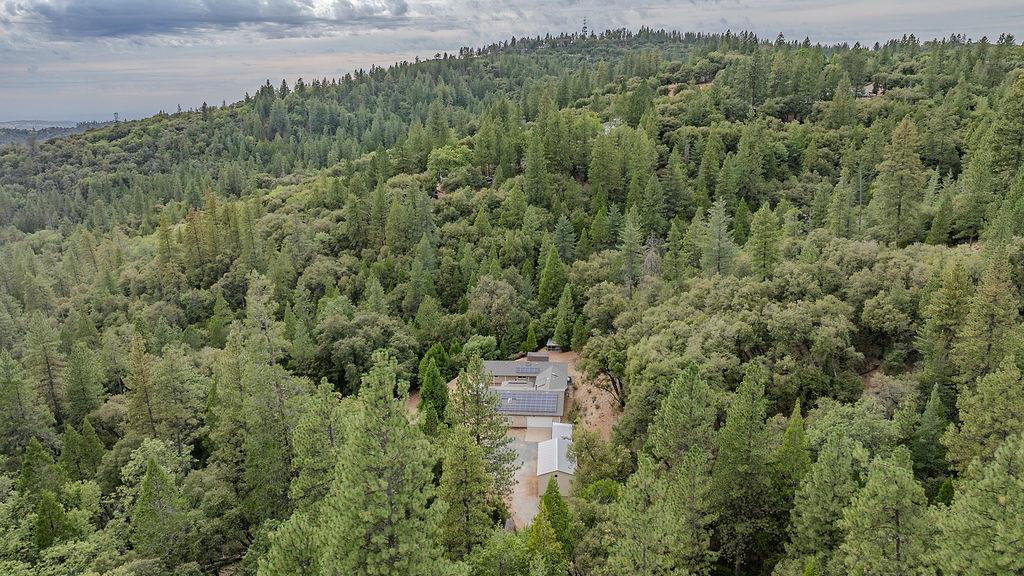 12511 Tabeaud Road Pine Grove, CA 95665 - Photo 82 of 99 Gallery Image 82