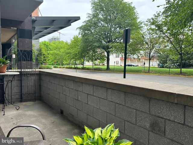 a view of a backyard and a tree
