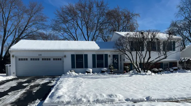 $450,000 | 225 Wickham Drive, Schaumburg, IL 60193