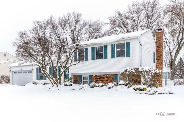 $450,000 | 225 Wickham Drive, Schaumburg, IL 60193