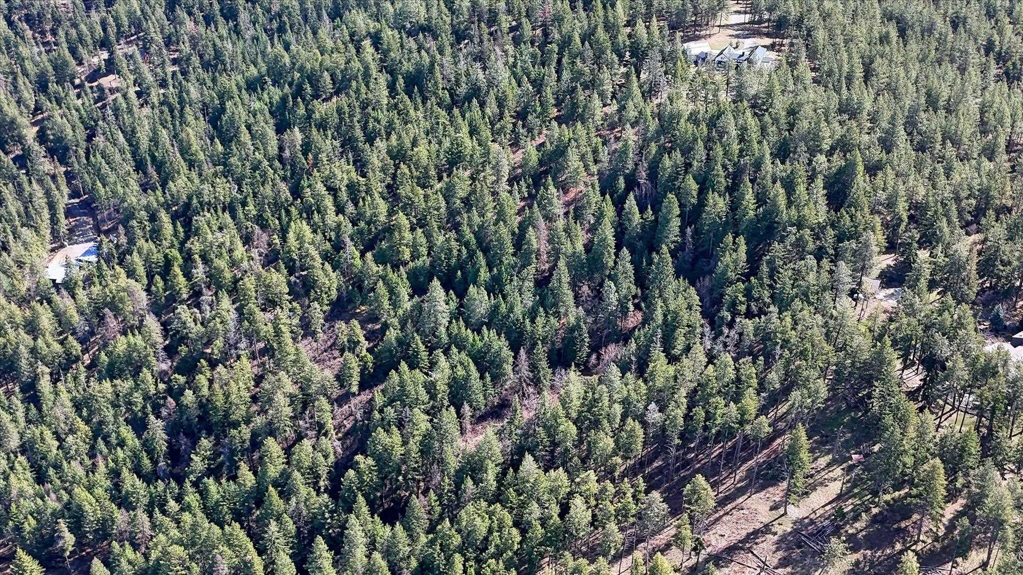 6707 South Sagewood Road Spokane, WA 99223 - Photo 23 of 46