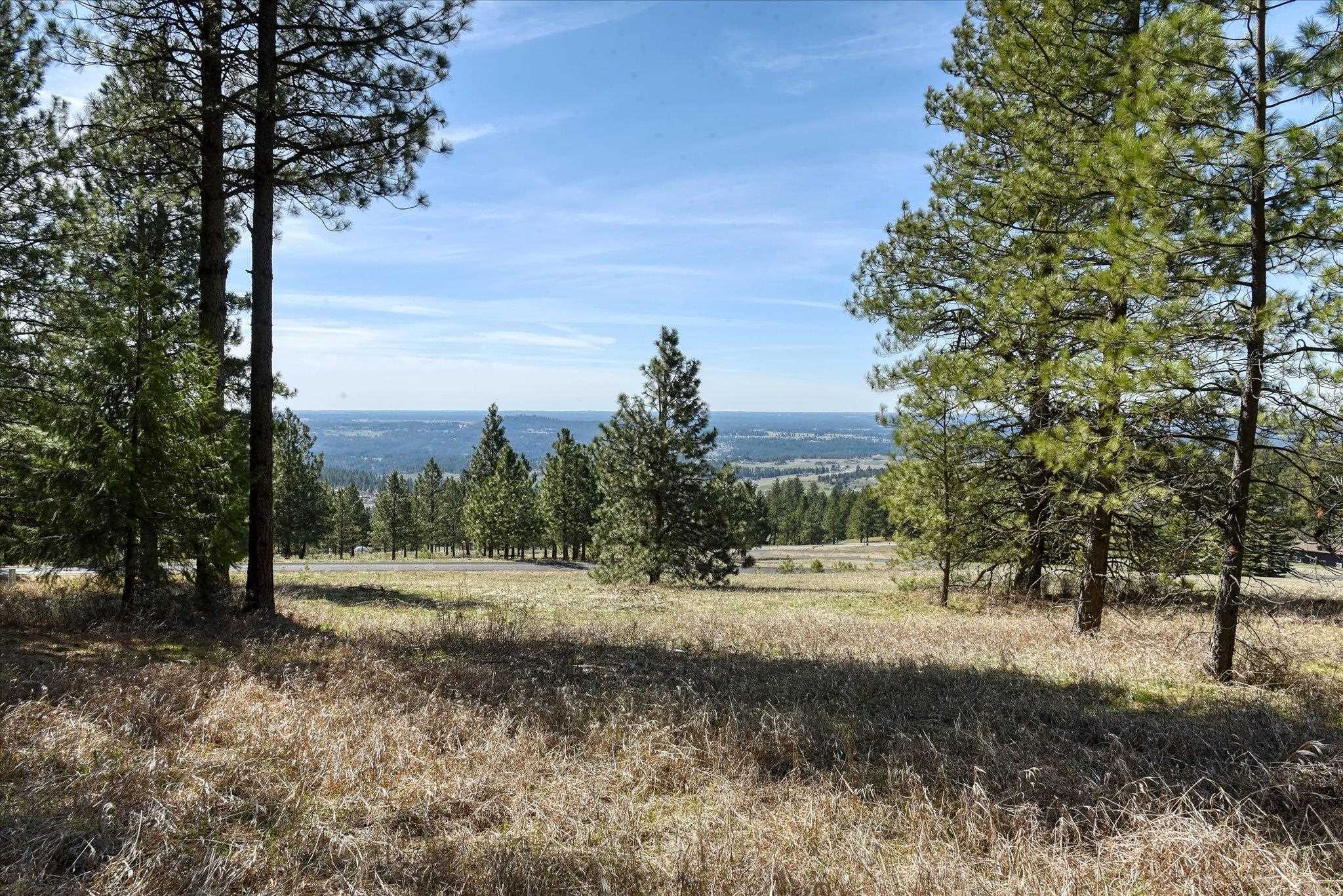 6707 South Sagewood Road Spokane, WA 99223 - Photo 37 of 46