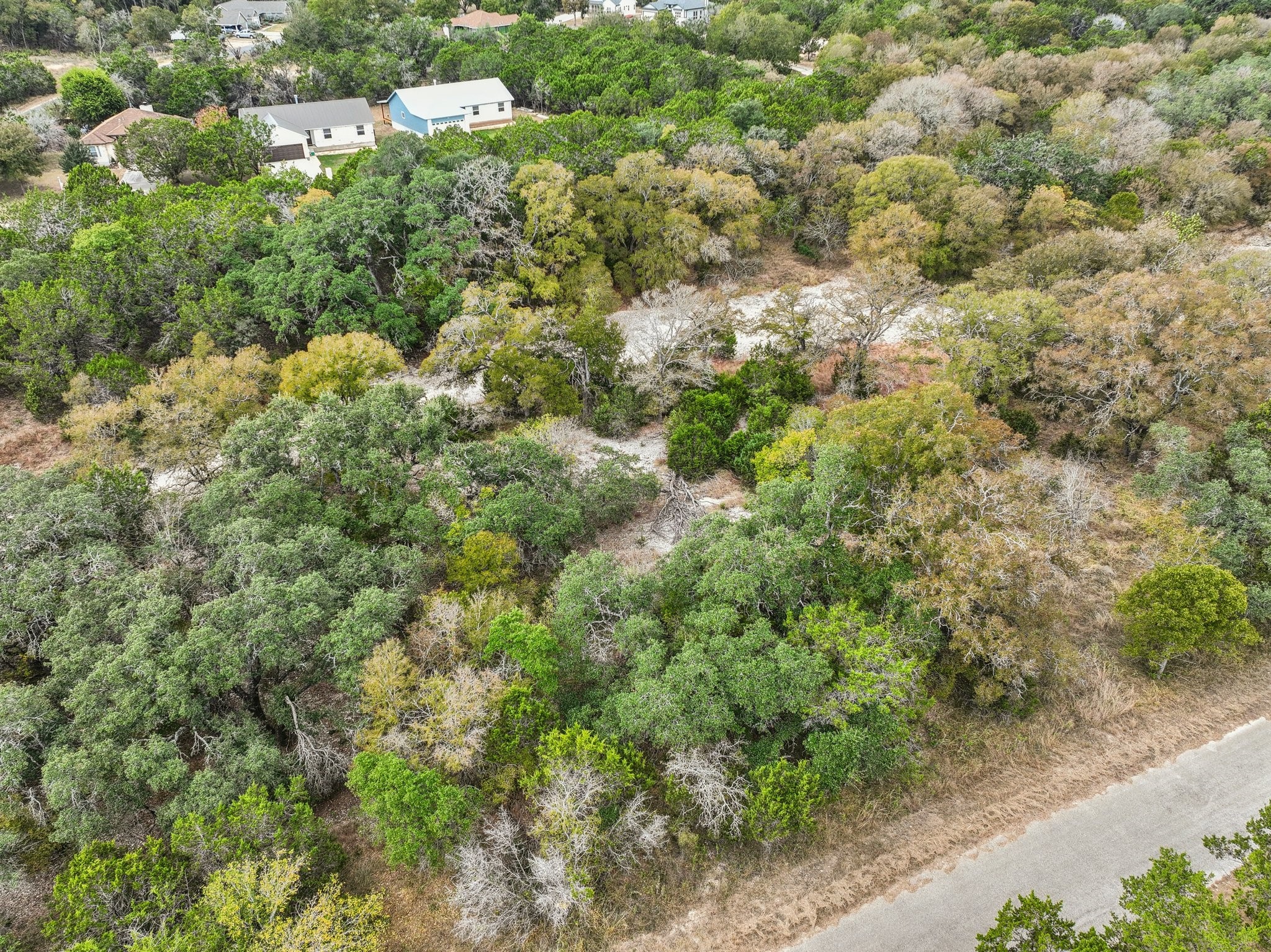 9 East Valley Spring Road Wimberley, TX 78676 - Photo 5 of 11 a view of a bunch of trees