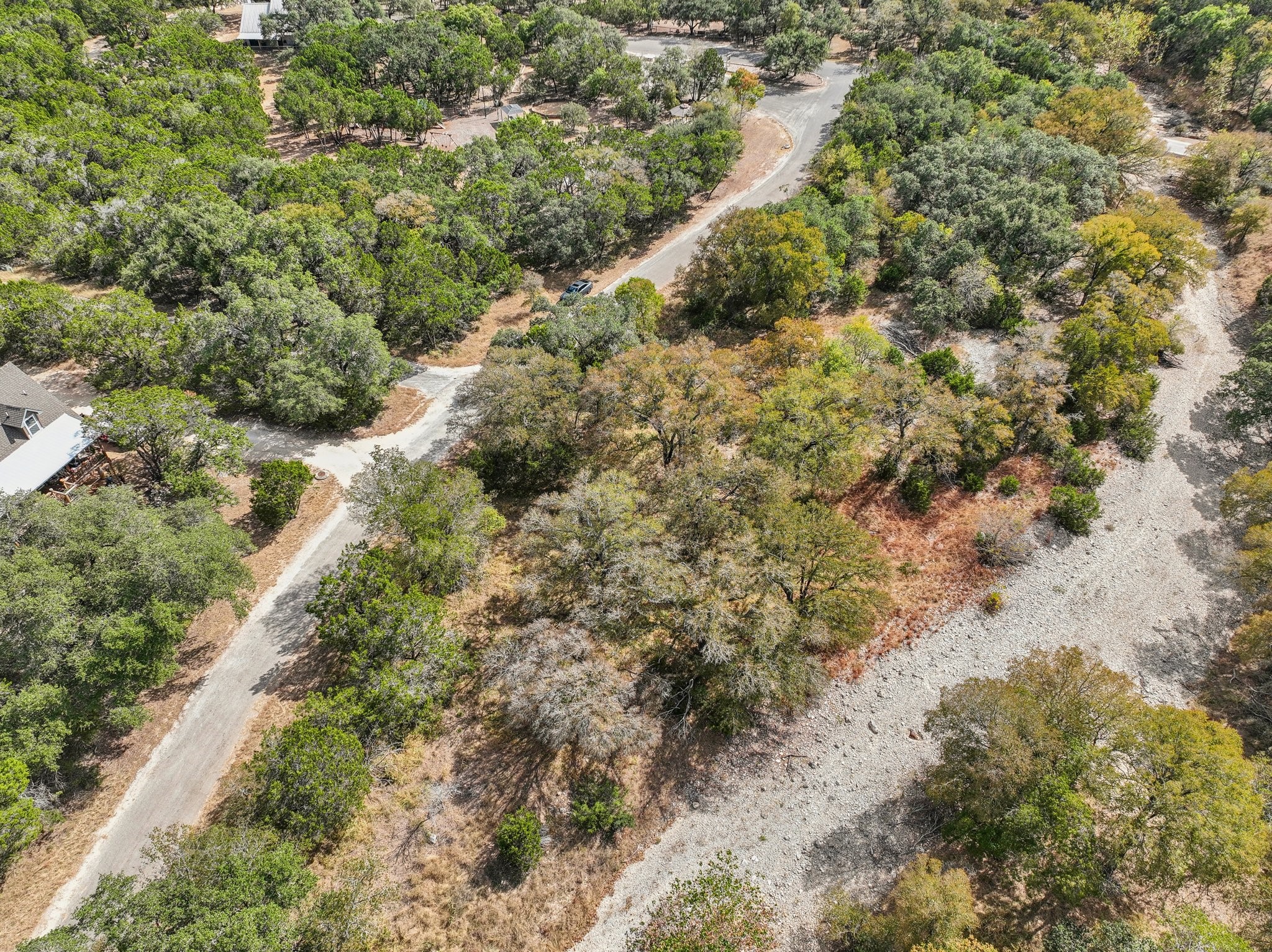 9 East Valley Spring Road Wimberley, TX 78676 - Photo 8 of 11 a view of a forest with a tree
