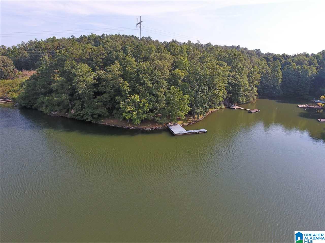 21879 Highway 431 Wedowee, AL 36278 - Photo 3 of 30