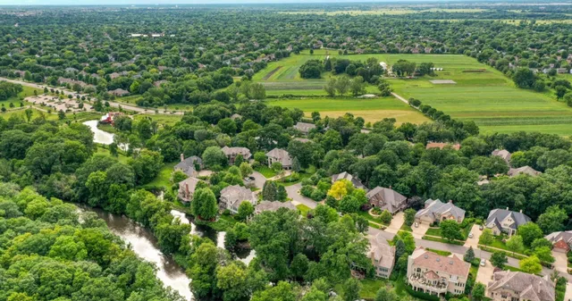 a view of a green yard