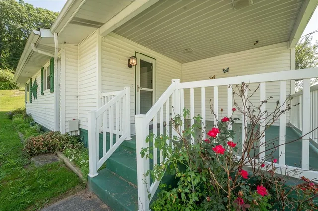 a view of a potted flower in the corridor