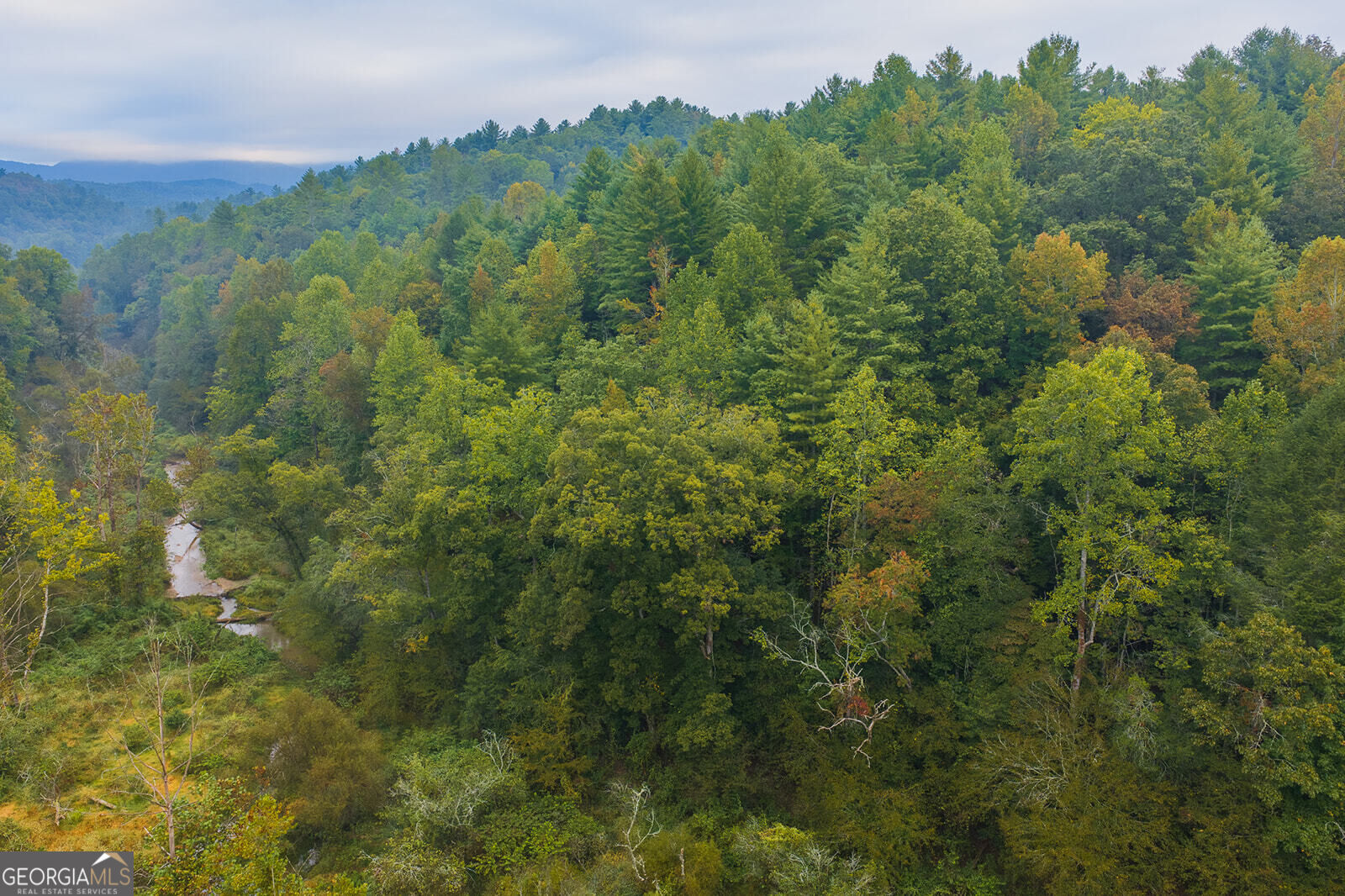 Lt14-17 Conasauga Road Ellijay, GA 30540 - Photo 19 of 19 Gallery Image 19