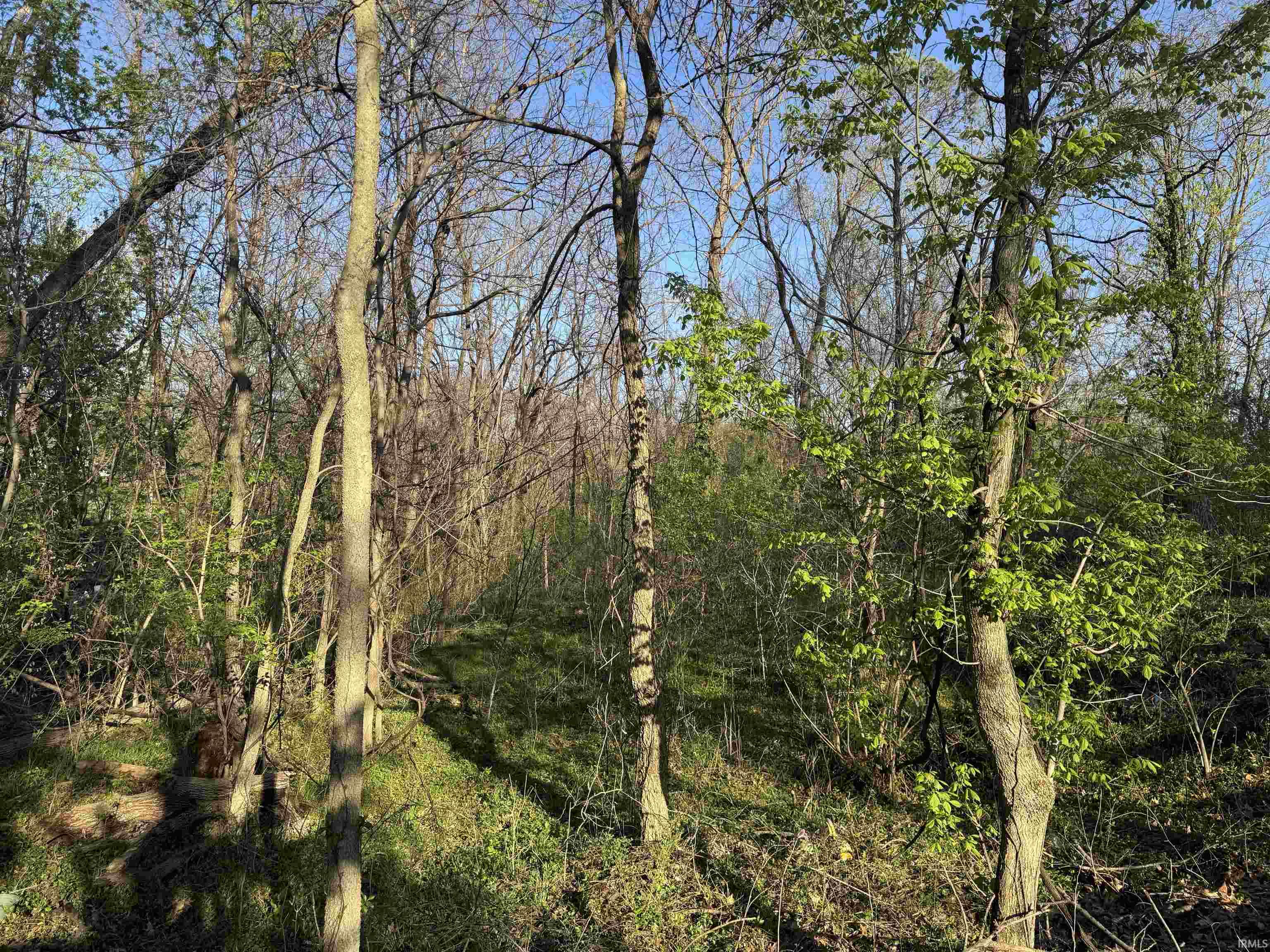 614 F Street Bedford, IN 47421 - Photo 2 of 4