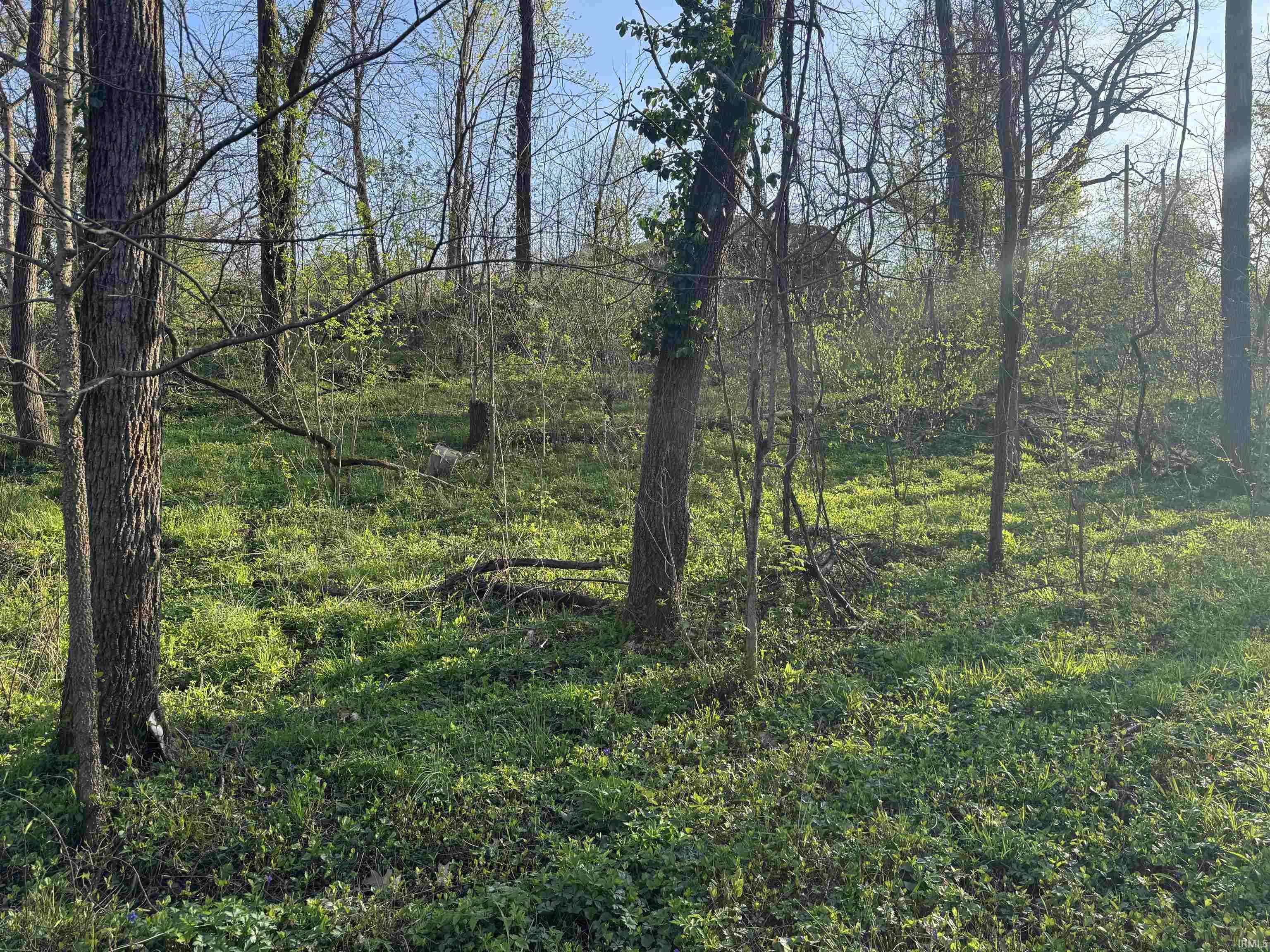 614 F Street Bedford, IN 47421 - Photo 3 of 4