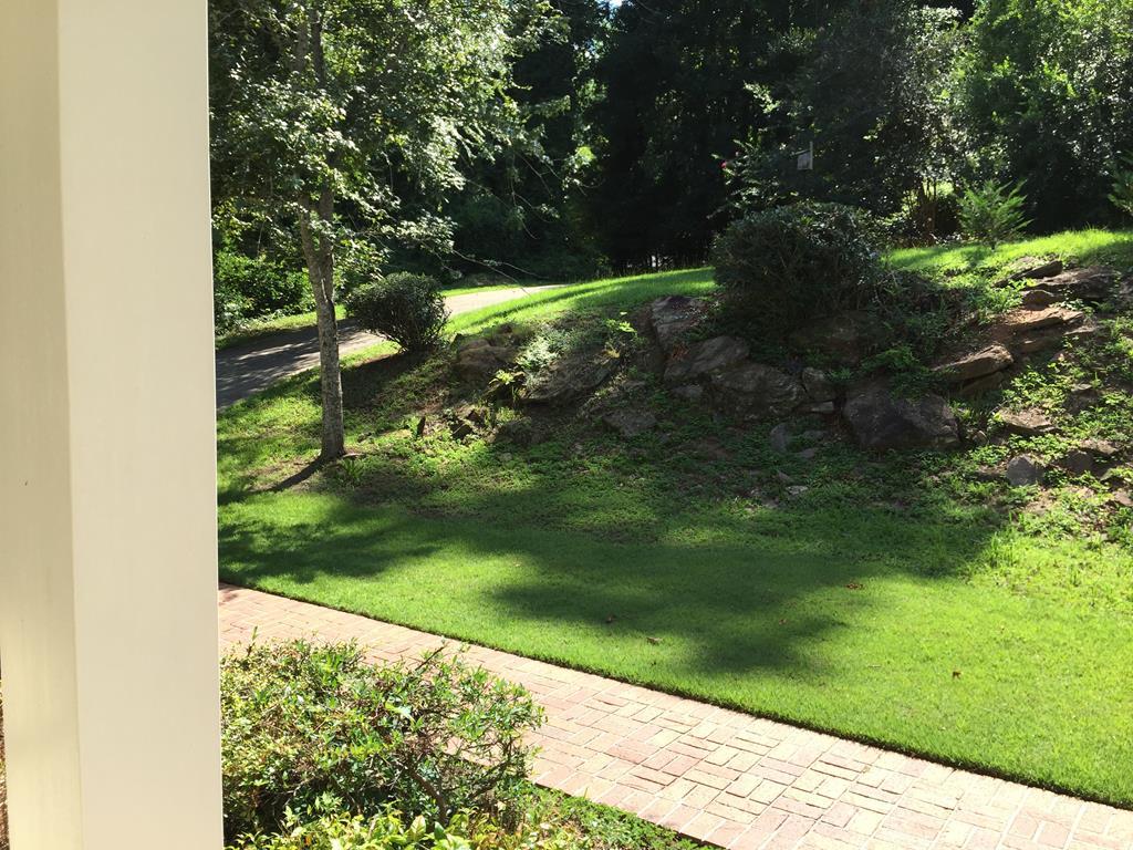 1257 Bass Road Macon, GA 31210 - Photo 11 of 13 a view of a yard