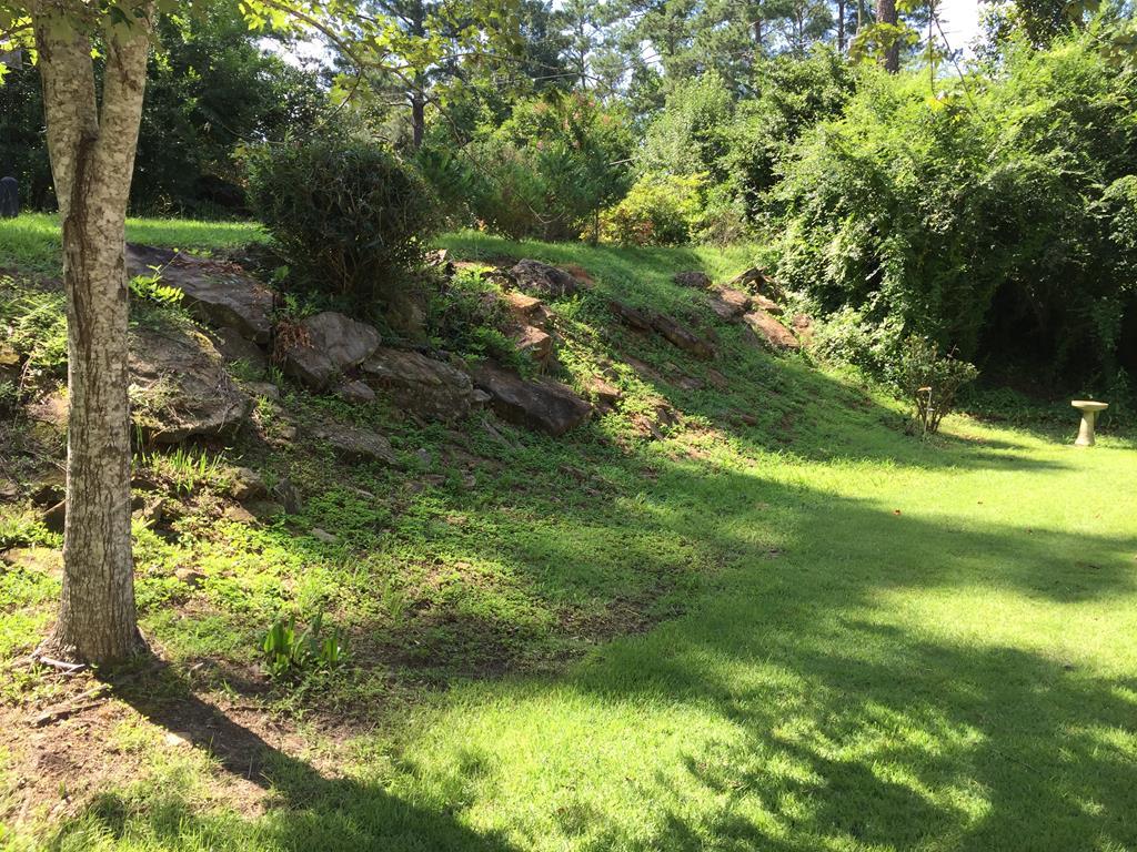 1257 Bass Road Macon, GA 31210 - Photo 10 of 13 a view of a yard with plants and large trees