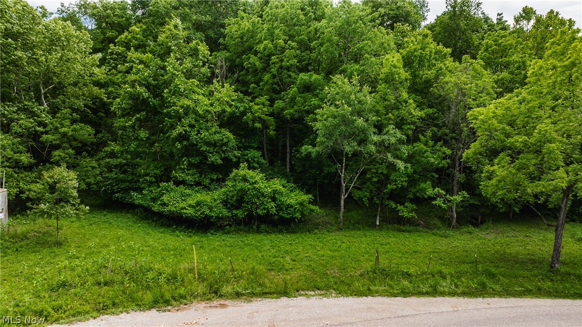 2904 Rocky Point Road Fleming, OH 45729 - Photo 1 of 6 Ingress location from Rocky Point Rd.