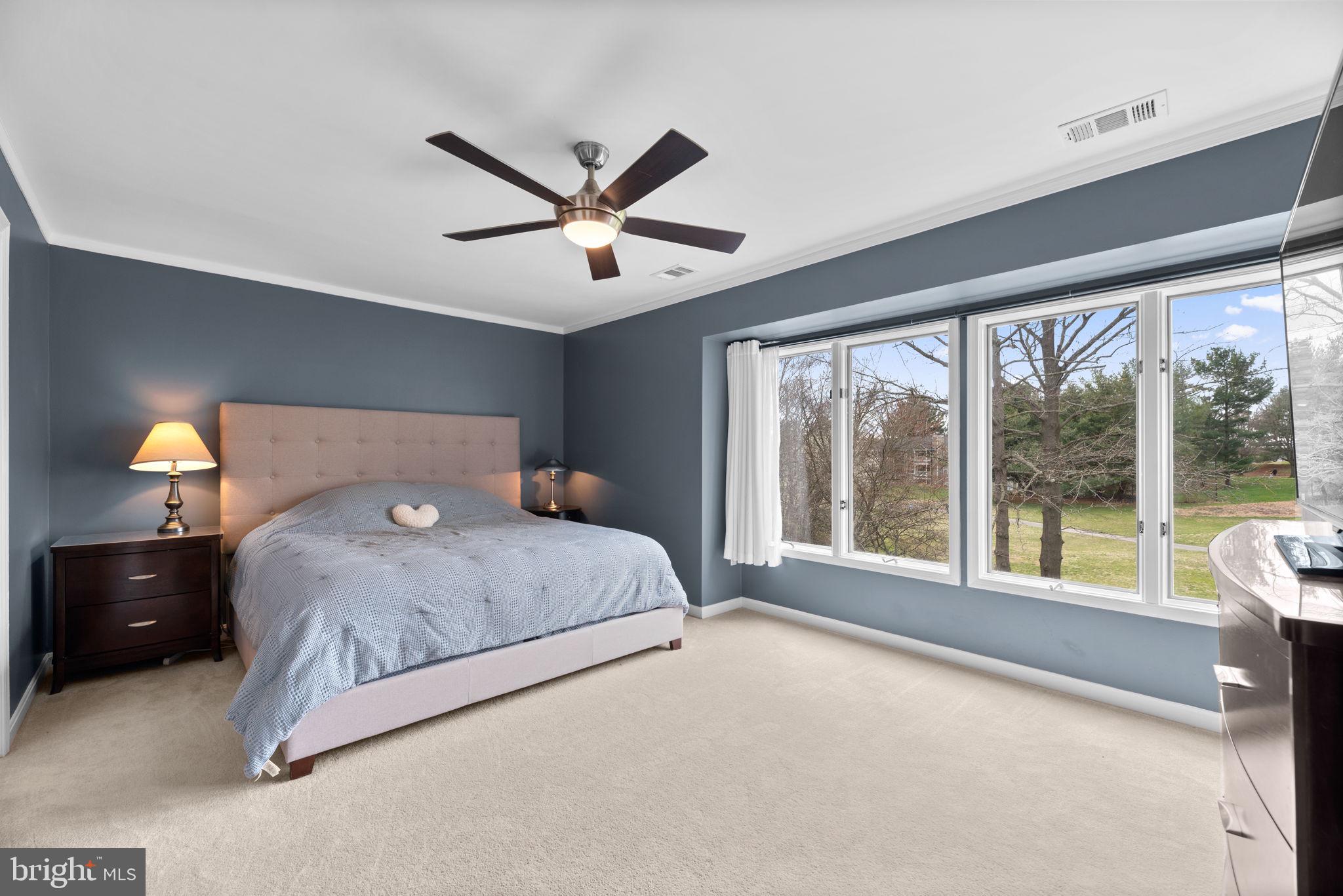 5239 Columbia Road, Unit 5 70 Columbia, MD 21044 - Photo 23 of 59 Second level; primary suite, gorgeous view.