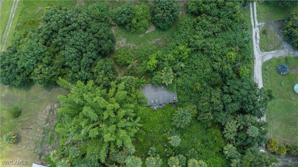 801 Ross Road LaBelle, FL 33935 - Photo 8 of 19 Gallery Image 8