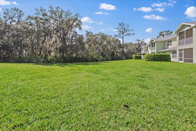 a view of a big yard with a tree in the background