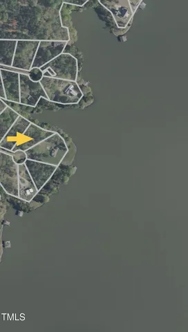 a view of lake from a tree