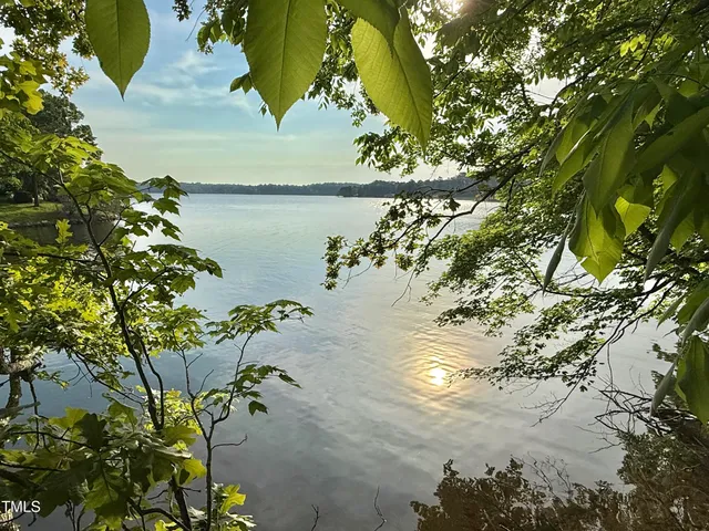 a view of outdoor space and tree