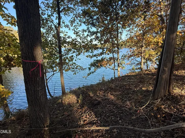 a view of a backyard of the house
