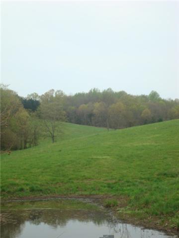 2 Hoovers Gap Road Beechgrove, TN 37018 - Photo 1 of 2 Gallery Image 1