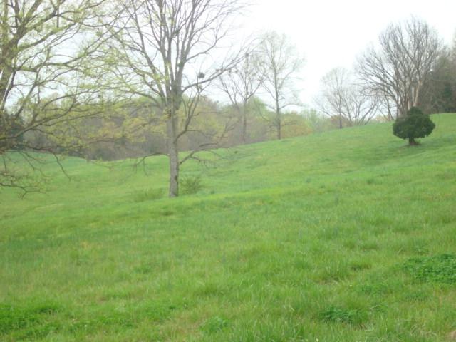 2 Hoovers Gap Road Beechgrove, TN 37018 - Photo 2 of 2 Gallery Image 2