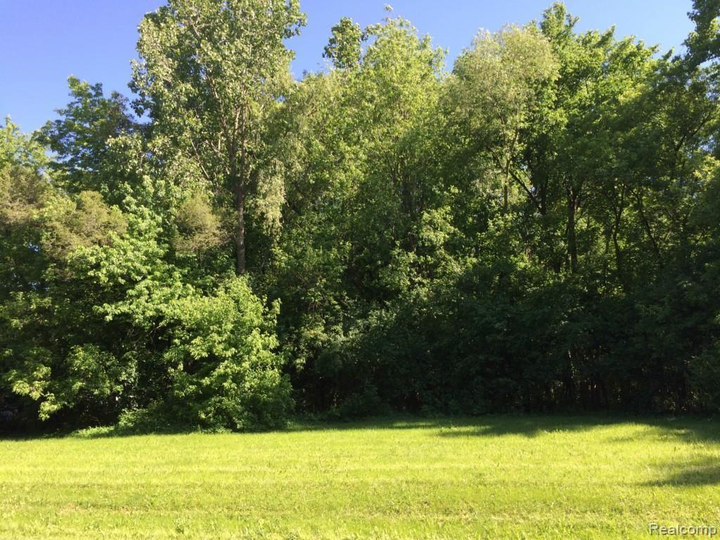 photo 1.jpg