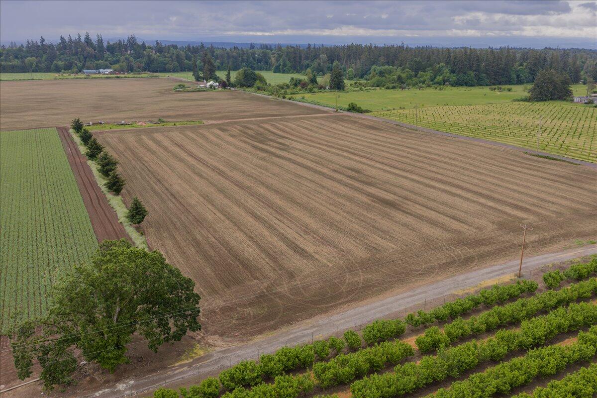 0 South Fawver Road Canby, OR 97013 - Photo 3 of 25 03-MIT-3