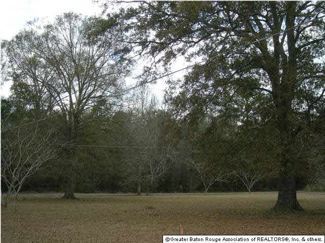 18379 Janice Road Livingston, LA 70754 - Photo 5 of 5 Gallery Image 5