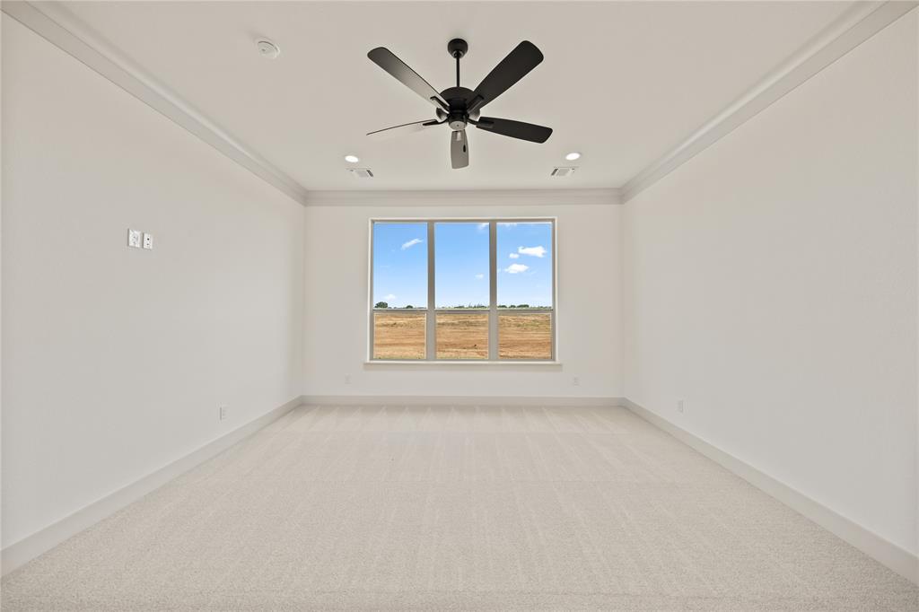 115 Red Bud Road Boyd, TX 76023 - Photo 22 of 38 Spacious room featuring light-toned carpeting, a large window, a ceiling fan, recessed lighting, and crown molding