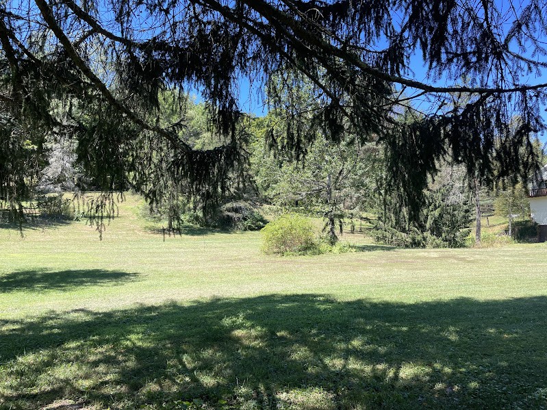 1239 Old River Road Roxbury, NY 12474 - Photo 29 of 30