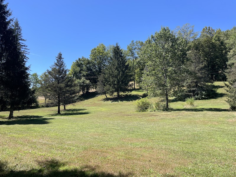 1239 Old River Road Roxbury, NY 12474 - Photo 30 of 30