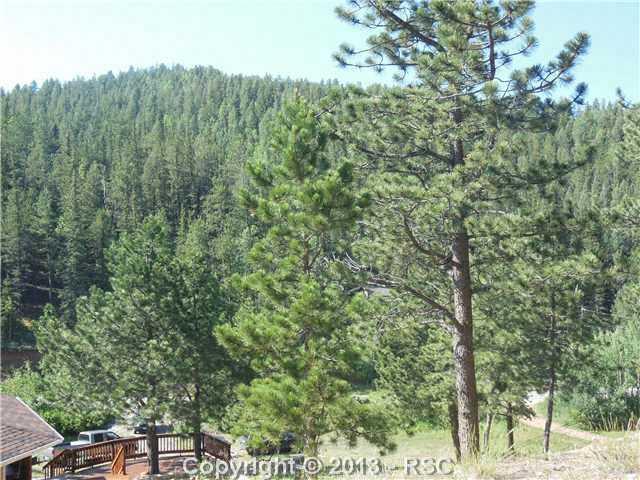 2147 Rampart Range Road Woodland Park, CO 80863 - Photo 25 of 25