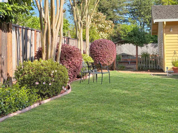 a garden with palm trees