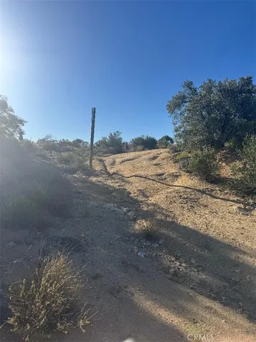 a view of a dirt road with large trees