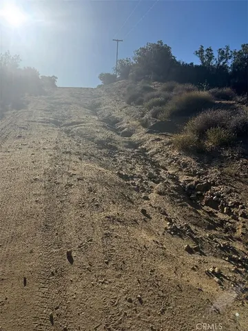 a view of a dry yard