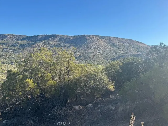 a view of a dry yard