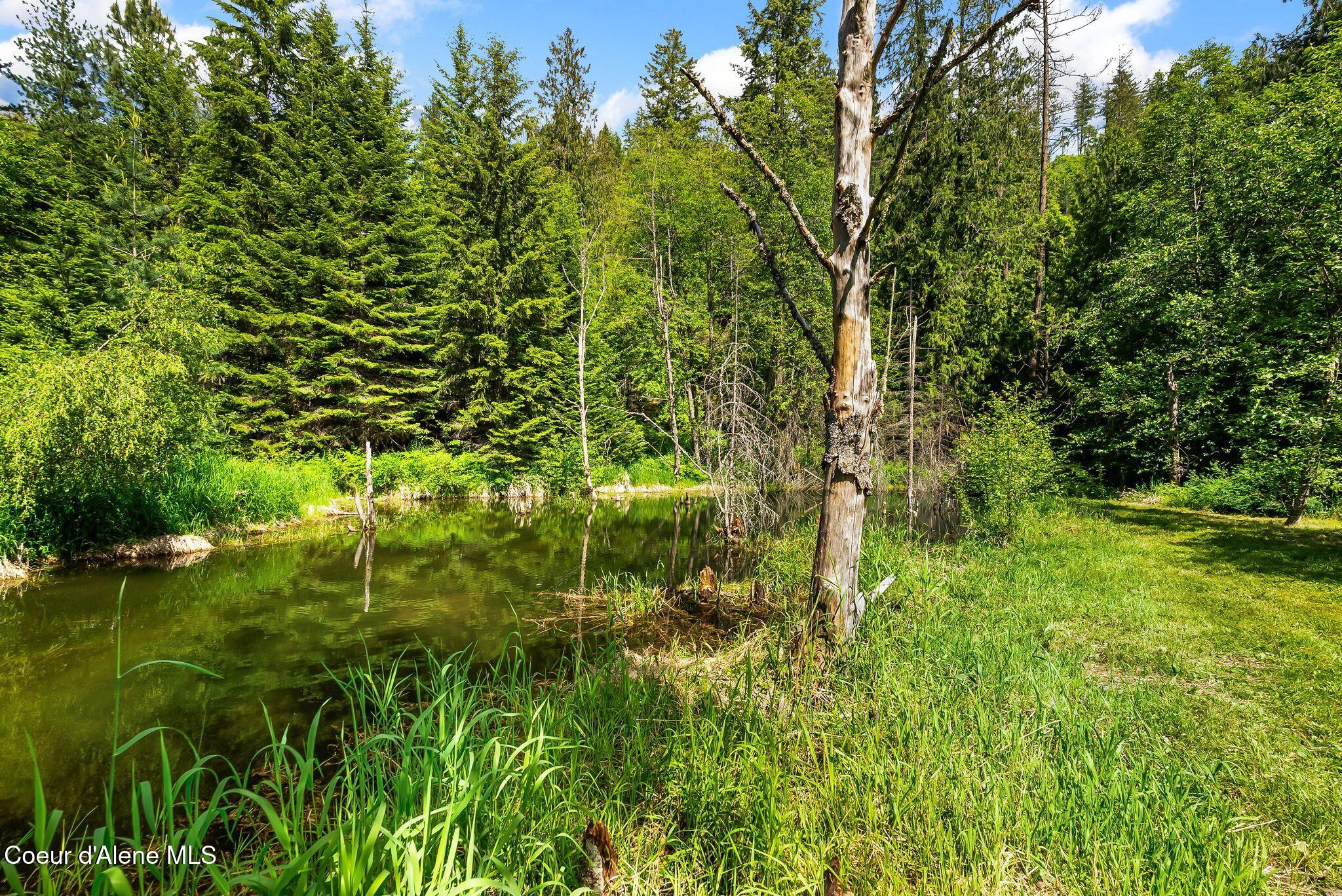 74 Eureka Road Sagle, ID 83860 - Photo 53 of 102 Pond