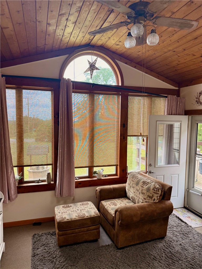 167 Austin Hill Road Erin, NY 14838 - Photo 3 of 28