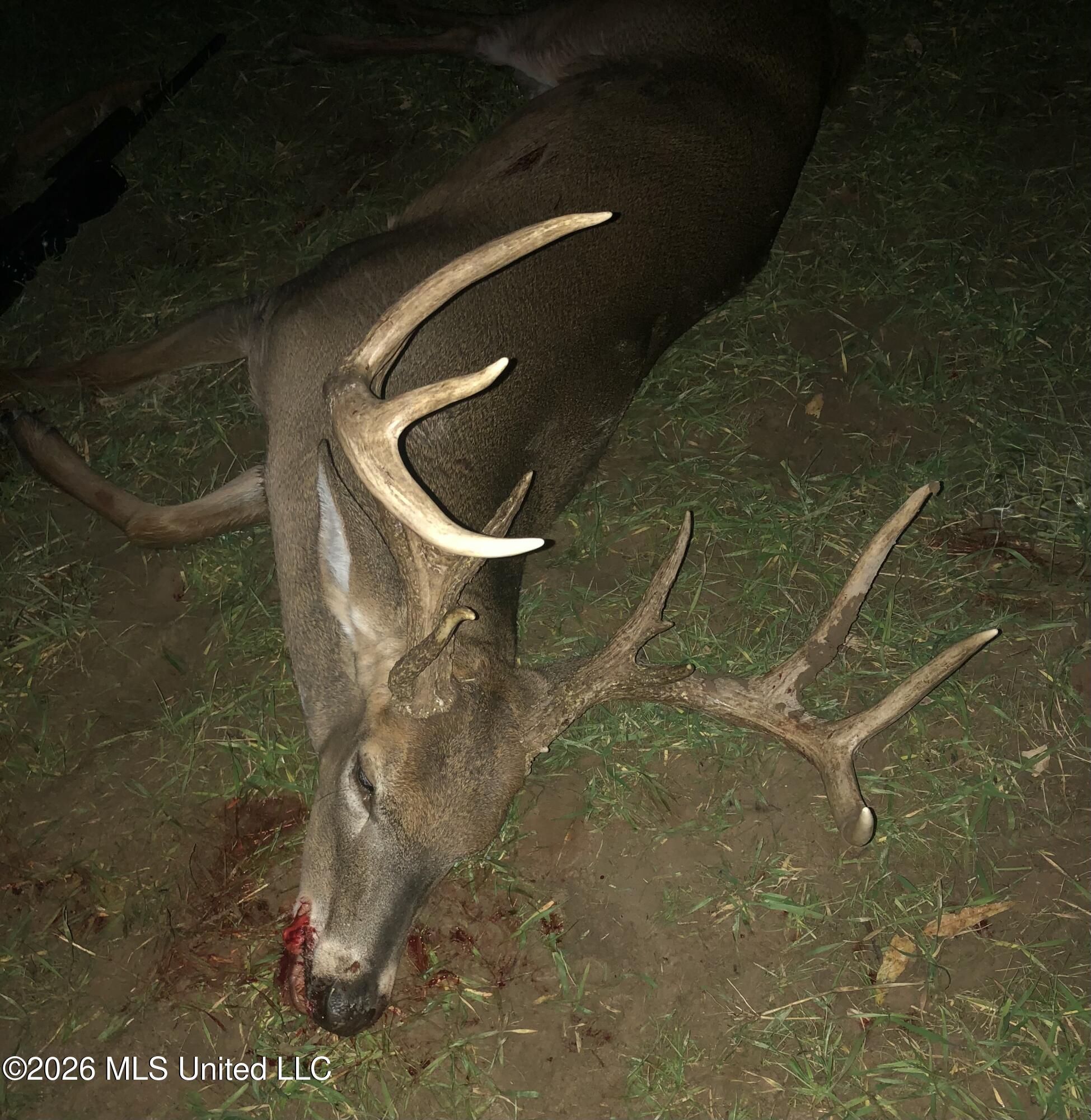 1 Highway 3 Lambert, MS 38643 - Photo 56 of 102 3F5D64F5-0A8B-4717-952C-7511386B7B81