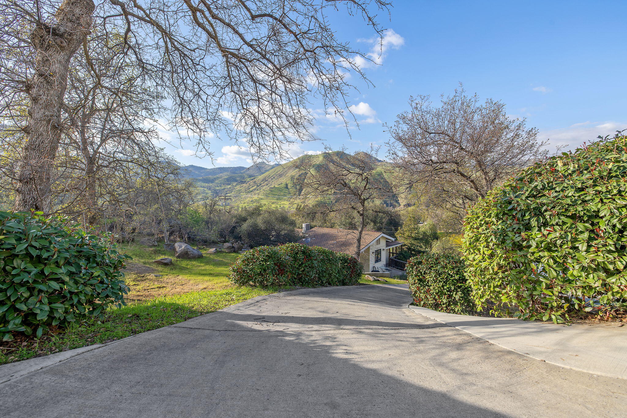 40209 Redtail Lane Three Rivers, CA 93271 - Photo 89 of 167 83-web-or-mls-713A5945